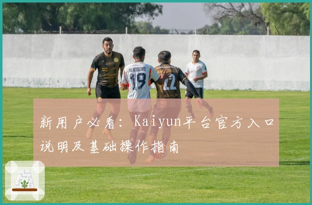 新用户必看:Kaiyun平台官方入口说明及基础操作指南