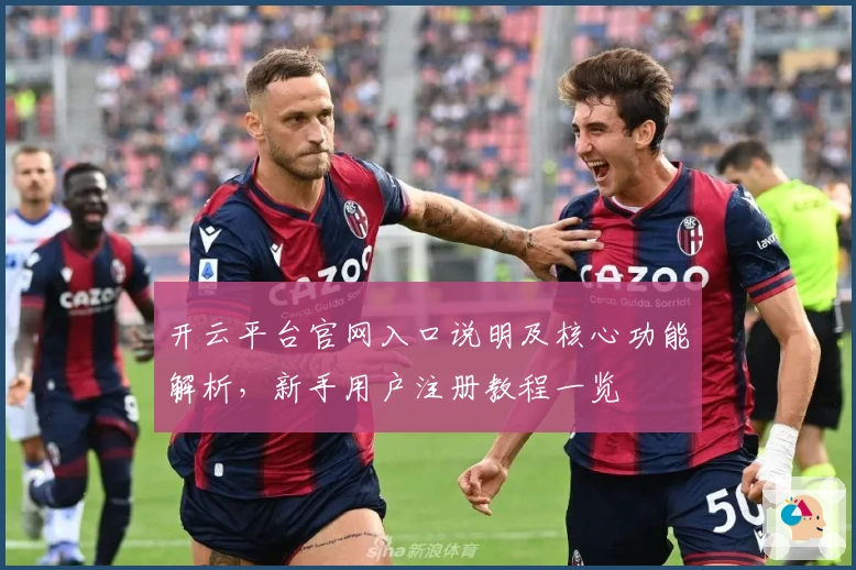 开云平台官网入口说明及核心功能解析，新手用户注册教程一览