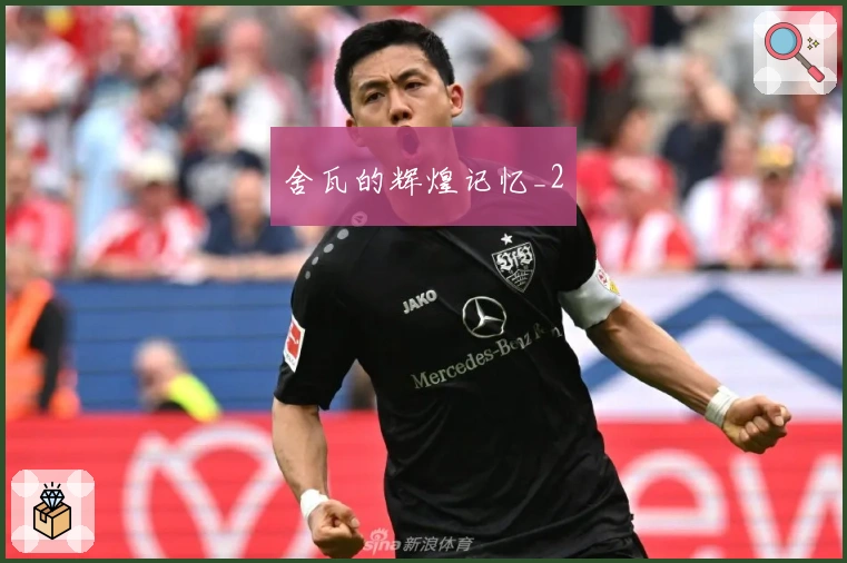 舍瓦的辉煌记忆_2