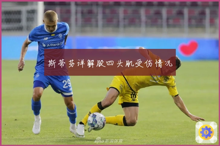 斯蒂芬详解股四头肌受伤情况