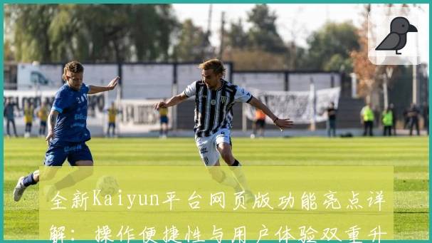 全新Kaiyun平台网页版功能亮点详解:操作便捷性与用户体验双重升级