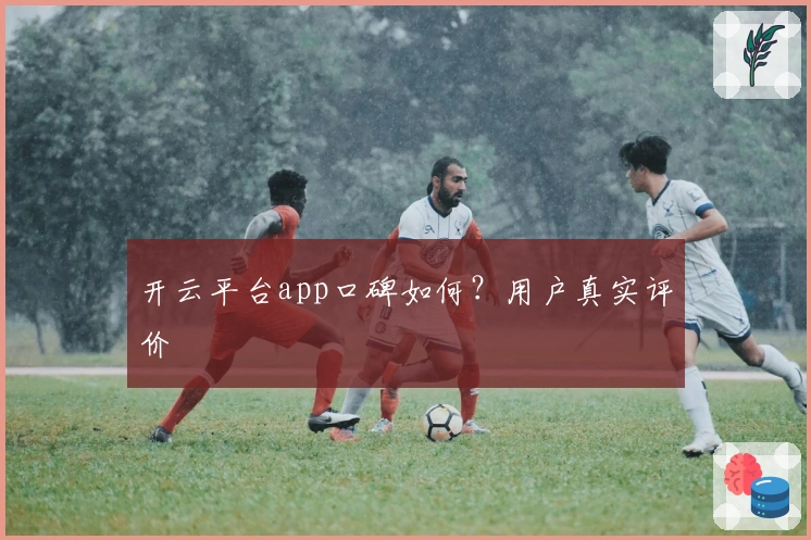 开云平台app口碑如何?用户真实评价