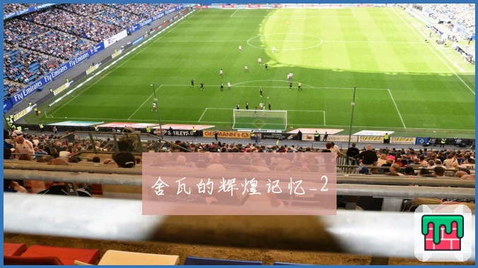 舍瓦的辉煌记忆_2