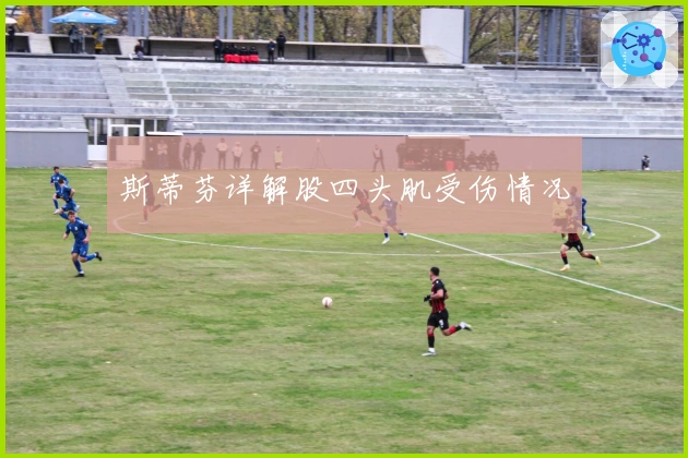 斯蒂芬详解股四头肌受伤情况
