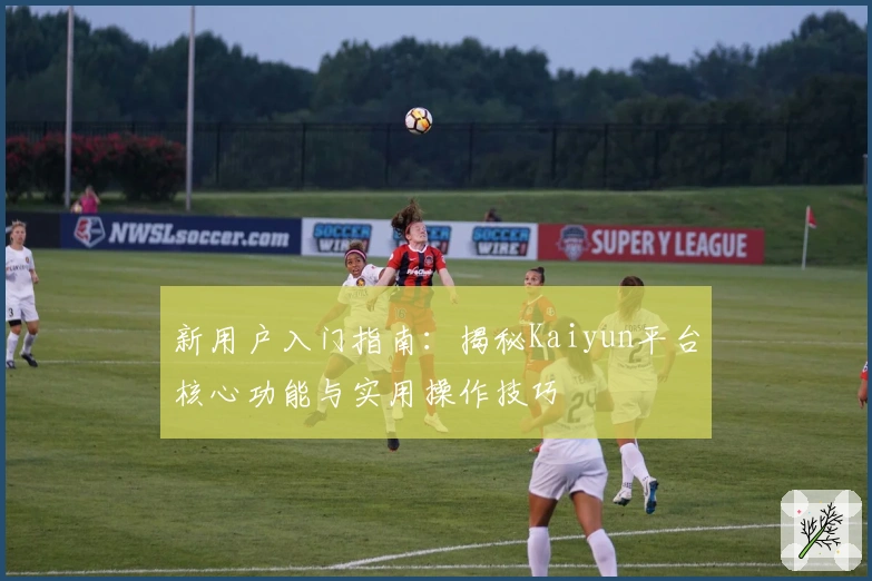 新用户入门指南：揭秘Kaiyun平台核心功能与实用操作技巧