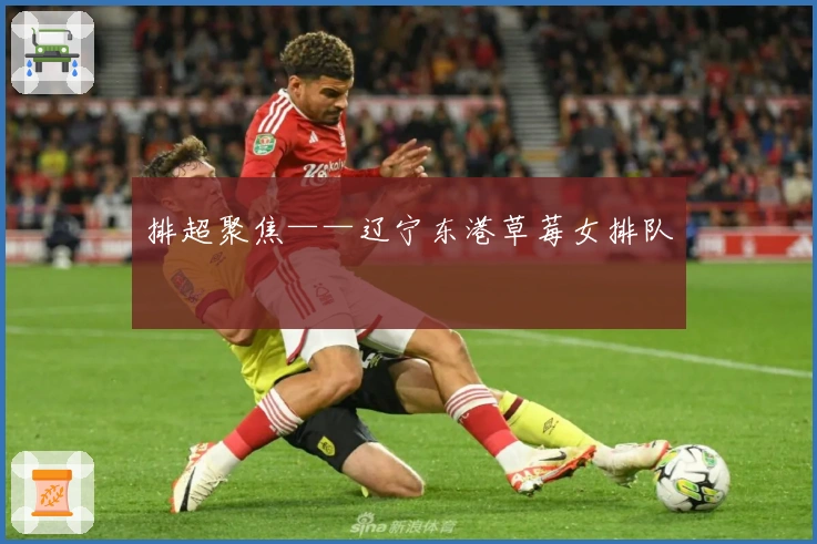 排超聚焦——辽宁东港草莓女排队